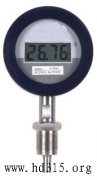 數字溫度計(RS-485數字通信接口，-50 ~ 500℃，防振防爆)型號:MN3/DTR100庫號:M39394